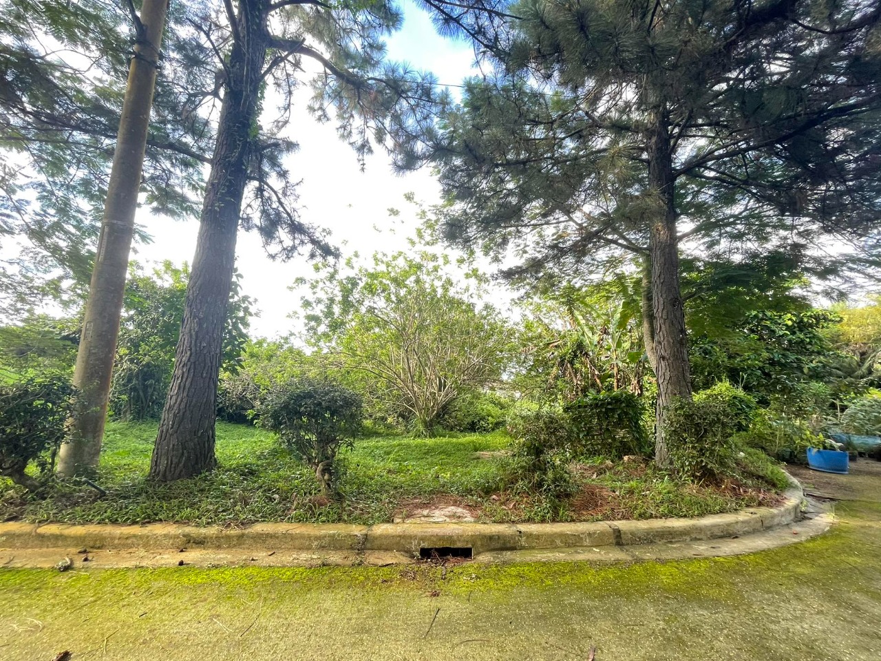 Ponderosa Leisure Farms Residential Lot For Sale Everbright Real Estate